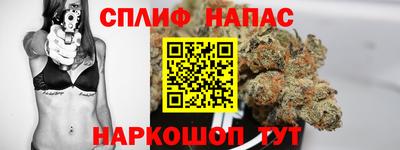 МДПВ Будённовск
